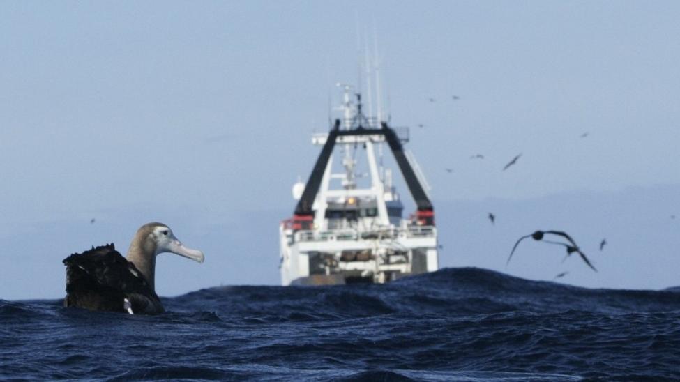 Research snapshot-homepage2